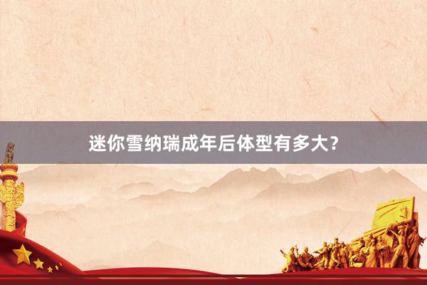 迷你雪纳瑞成年后体型有多大?